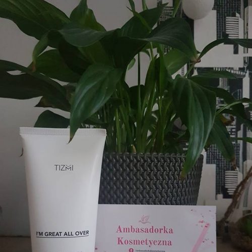 49409606_2312990435596470_6647560092222750720_n