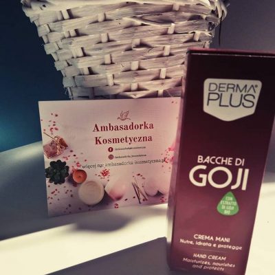 52682040_258431261744765_5620232433602396160_n