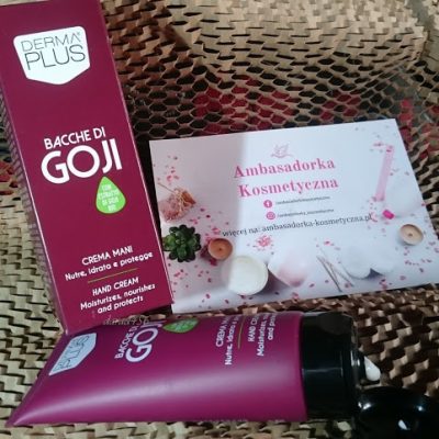 52864490_242320153226642_3144563003005861888_n